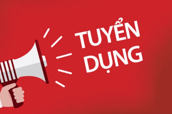 lĩnh vực hoạt động